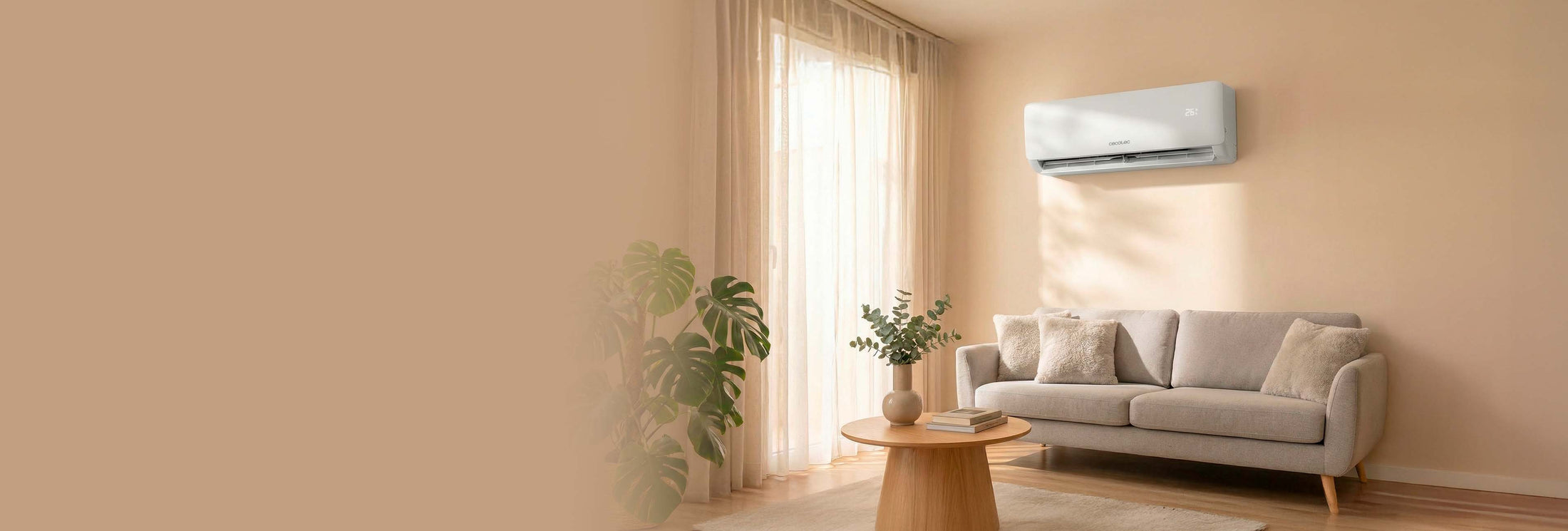 Promotional banner